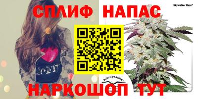 спайс Пугачёв