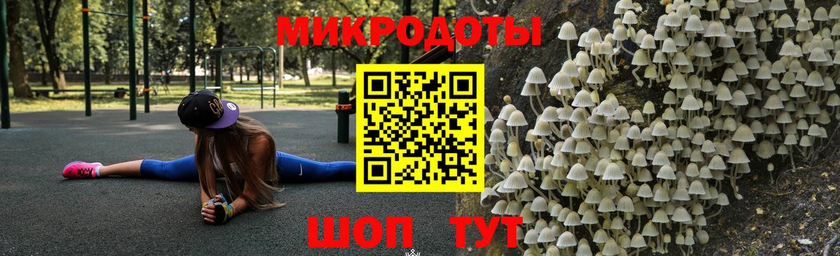 Псилоцибиновые грибы Psilocybe  Галлюциногенные грибы ЛСД  Наро-Фоминск  Вход с VPN 